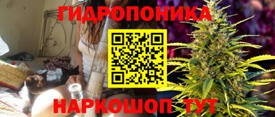 apvp Рузаевка