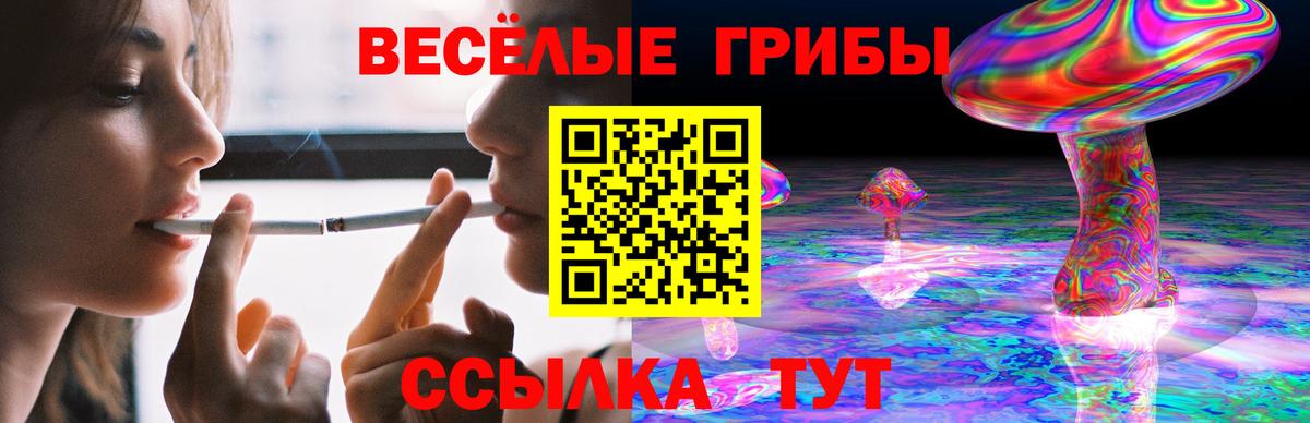 Псилоцибиновые грибы GOLDEN TEACHER  Вход с VPN  Ногинск 